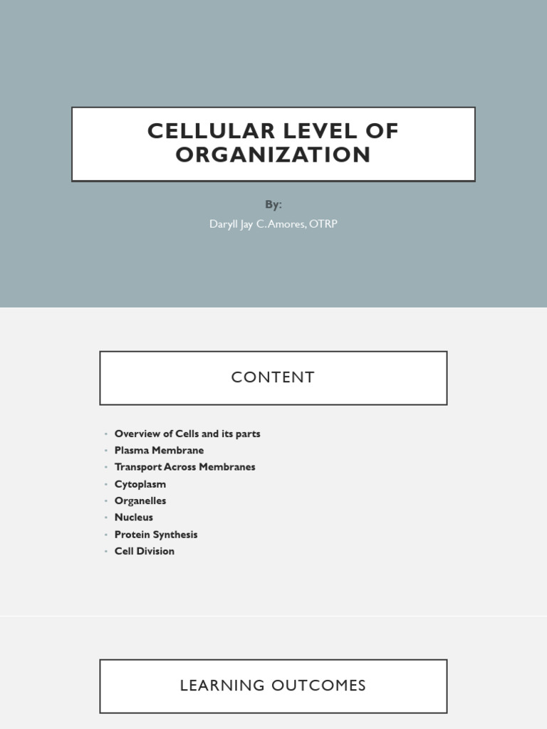 Understanding Cell Structure and Functions | PDF | Endoplasmic ...