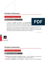 Separata Especial - Sobre A Proibição Do Excesso e Garantias Processuais