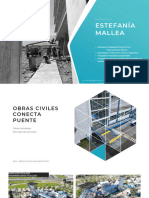 Portafolio Proyectos - Estefania Mallea G