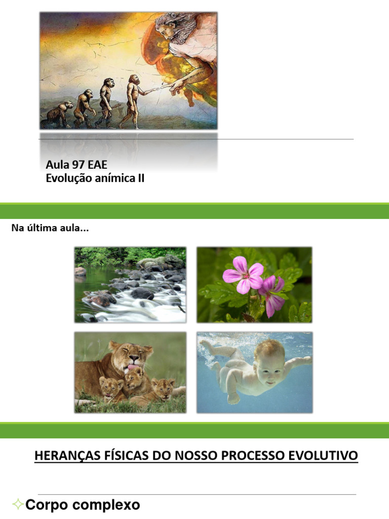 Evolução Anímica e a Casa Mental | PDF