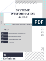 Système D'information Agile