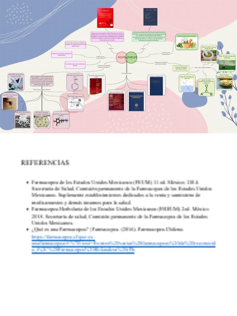 mapa-mental-de-la-feum-y-fheum-1-2-3-descargar-gratis-pdf