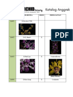 Katalog Anggrek Dendrobium Hybrid Kode D