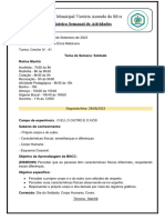 5 Roteiro Semanal 28 de Agosto A 01 de Setembro - Turma 41 - Prof Sara e Érica