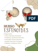 Documento A4 Portada de Proyecto Histologia Ciencia Biologia Medicina Minim - 20240223 - 113906 - 0000
