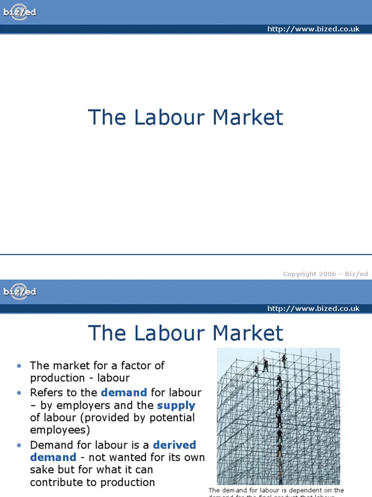 Labour Labour Economics Employment