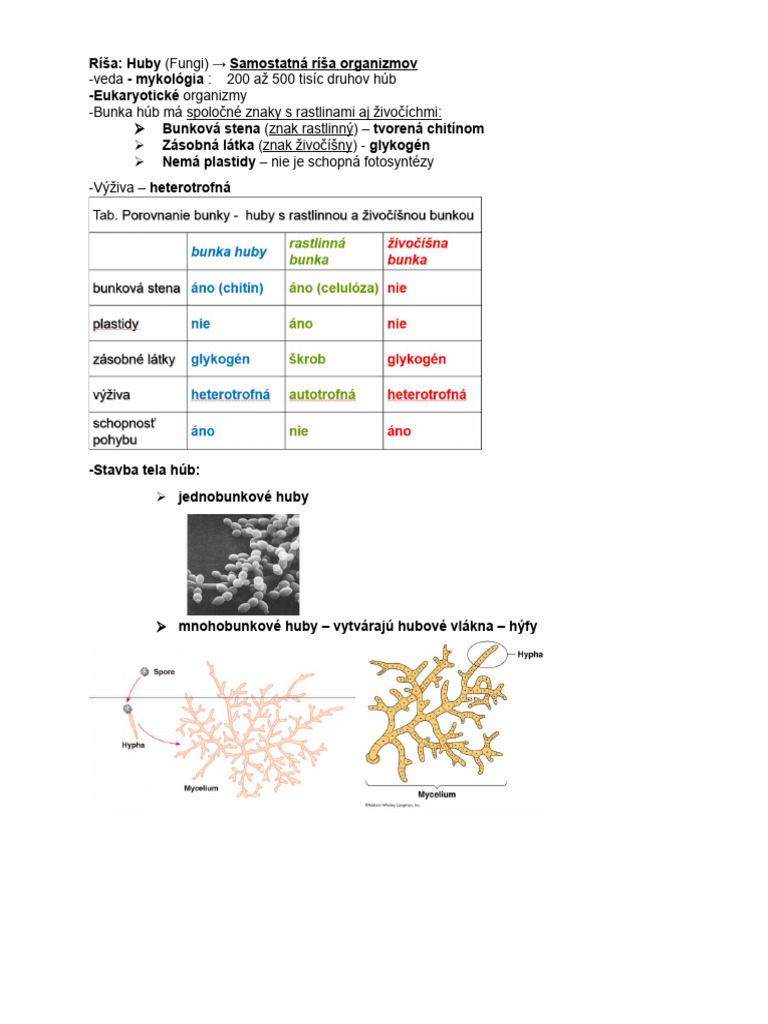 Huby | PDF