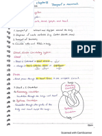 Cardiovascular System