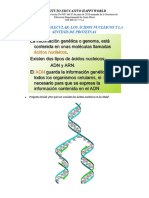 Acidos Nucleicos y Sintesis de Proteinas1