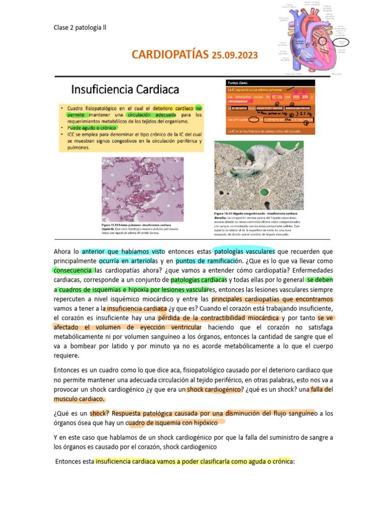 2 Cardiopatias | PDF | Corazón | Insuficiencia cardíaca