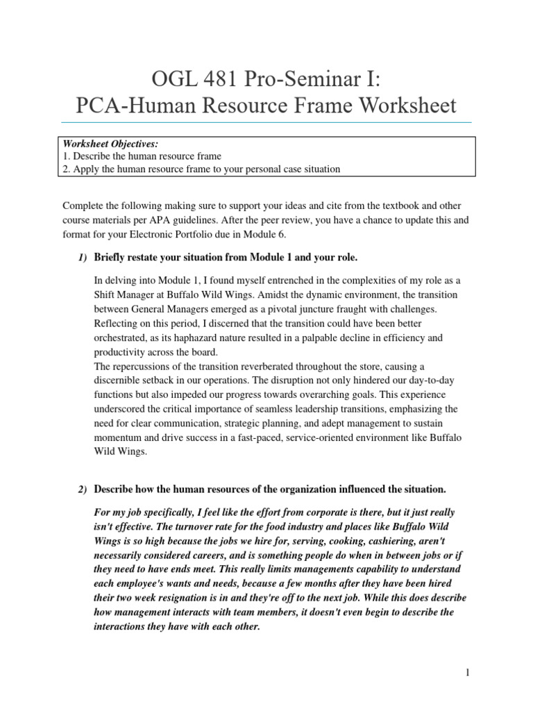Human Resource Frame Analysis Worksheet | PDF