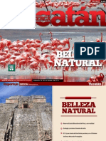 YDC Edicion Especial: Belleza Natural