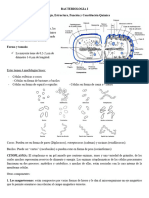 BACTERIOLOGIA I Morfologia