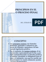 5.-Principios Procesales