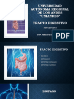 Tracto Digestivo