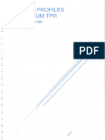 Rapport Tunisie Profiles Aluminium 2021