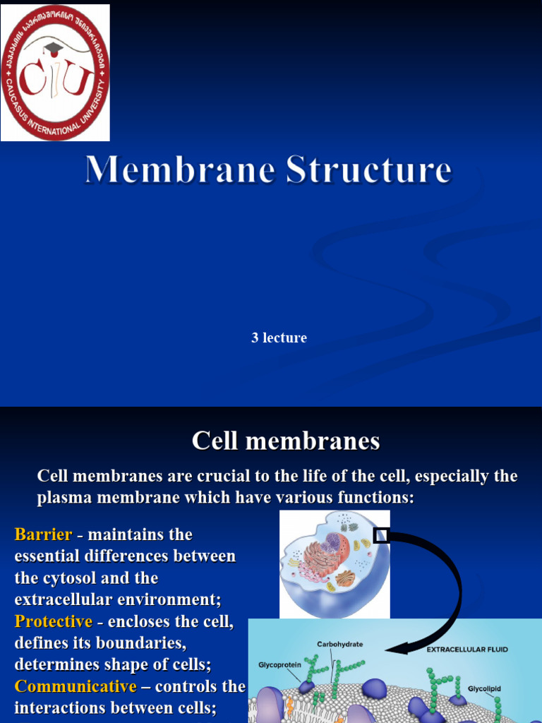 Understanding Cell Membrane Structure | PDF | Cell Membrane | Lipid Bilayer