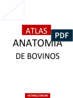 Atlas Anatomia Dos Bovinos