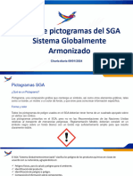 Tipos de Pictograma Del Sga