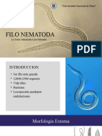 Seminario Filo Nematoda