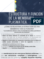 Estructura y Función de La Membrana Plasmatica.