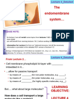 L4 the+Endomembrane+System