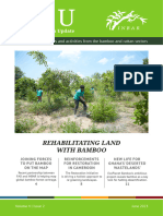 BRU 4 2 en Rehabilitating Land With Bamboo
