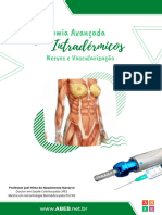 Anatomia - Nervos e Vascularização - Arquivo