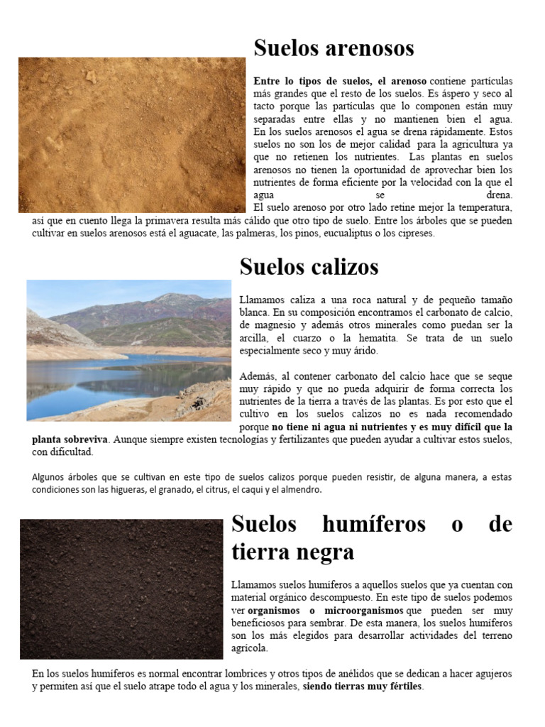 Tipos De Suelos Pdf Suelo Caliza