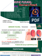 Sindrome Pleural