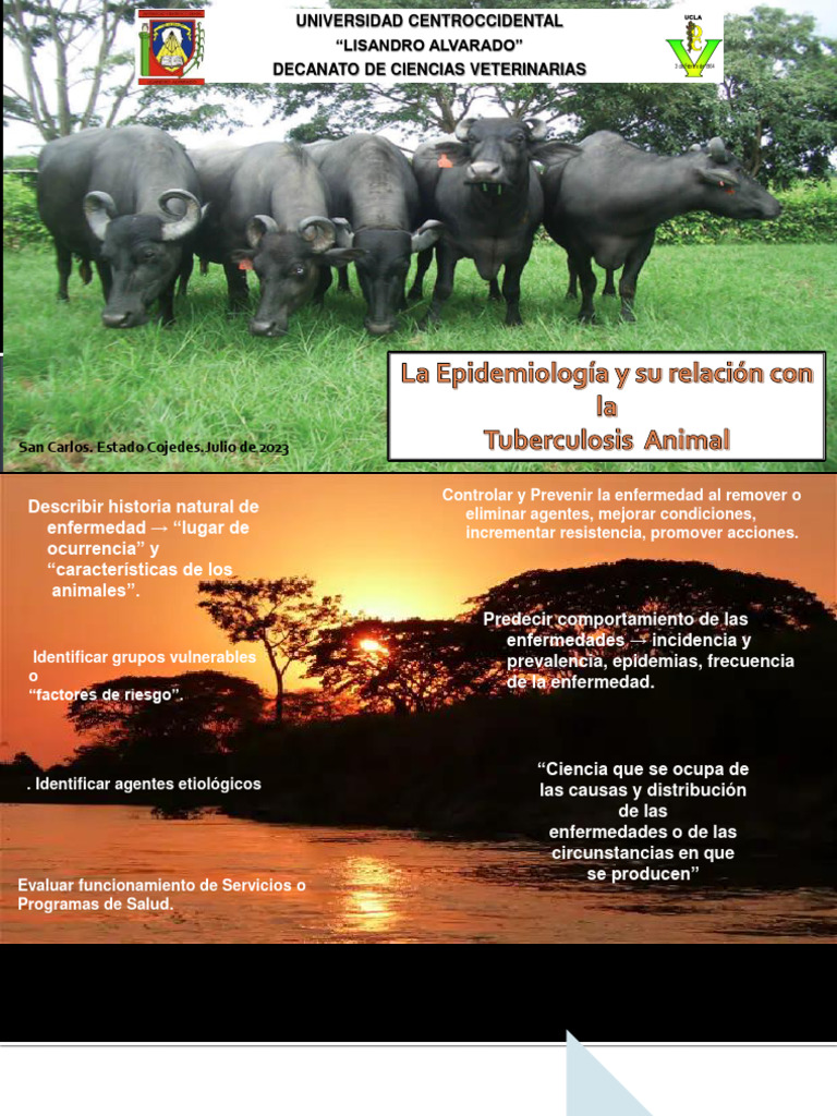 Epidemiología de la Tuberculosis Animal | PDF | Infección | Mycobacterium
