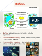 HTTPWWW Zsezzlin czzs-obsahuploads201709BUŇKA PDF