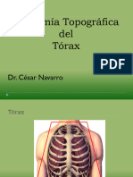 Anatomia Topografica Del Torax 2020