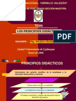 Principios didácticos enseñanza científica