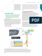 BrockBiologyMicroorganisms 16ed Chp1 2 (57-75) .En - Es