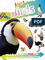 DK Findout! Birds - DK