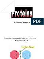 BTN-345 L2 Proteins