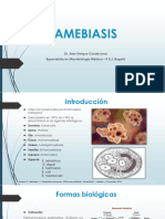 Amebiasis Giardiasis Balantidiosis Criptosporidiosis