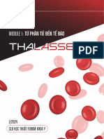 (Case Preview) Thalassemia