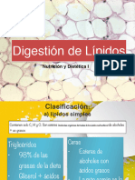 Digestión y Absorción de Lípidos Final