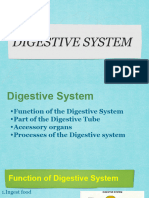 Digestive