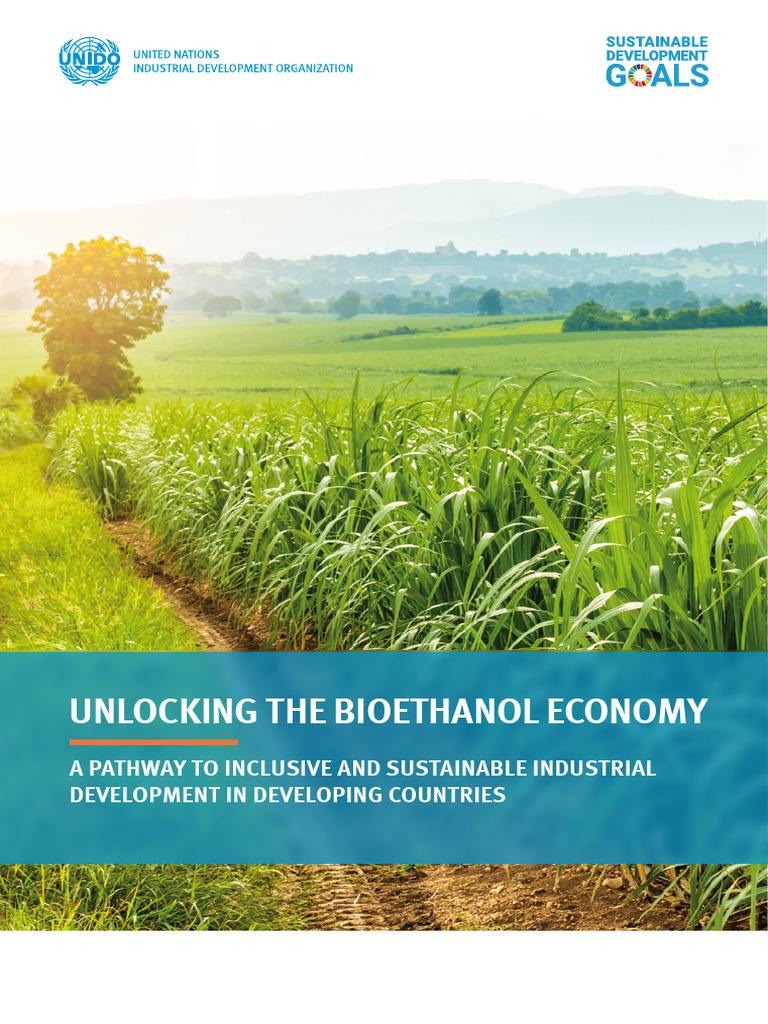 Bioethanol for Sustainable Development | PDF | Biofuel | Ethanol Fuel