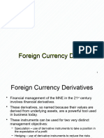 Foreign Currency Derivatives2