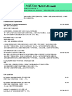 CV Chinese PDF