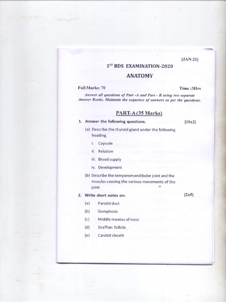 Anatomy visual data 7