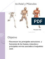 Esqueleto Axial y Músculos