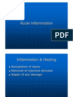 8 Acute Inflammation IW