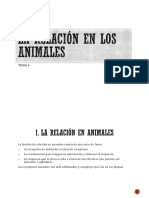 T6 - Relación en Animales