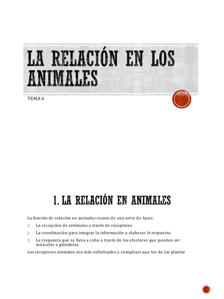 Función de Relación en Animales | PDF | Sistema nervioso | Cerebro