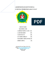 Probiotik Olahan Nanas-1